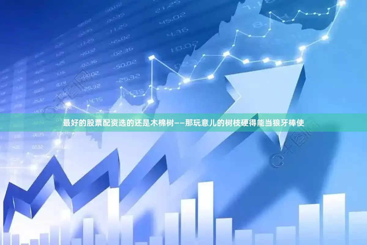 最好的股票配资选的还是木棉树——那玩意儿的树枝硬得能当狼牙棒使