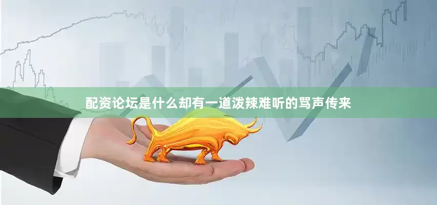 配资论坛是什么却有一道泼辣难听的骂声传来
