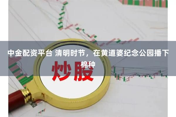 中金配资平台 清明时节，在黄道婆纪念公园播下棉种