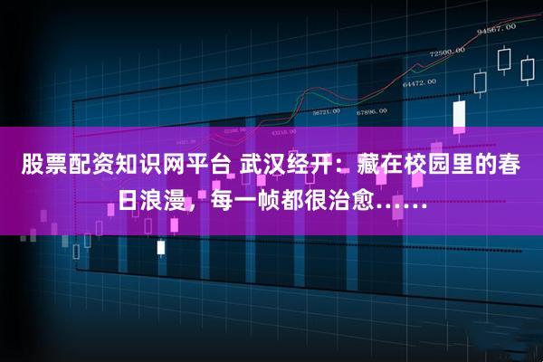 股票配资知识网平台 武汉经开：藏在校园里的春日浪漫，每一帧都很治愈……
