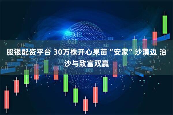 股银配资平台 30万株开心果苗“安家”沙漠边 治沙与致富双赢