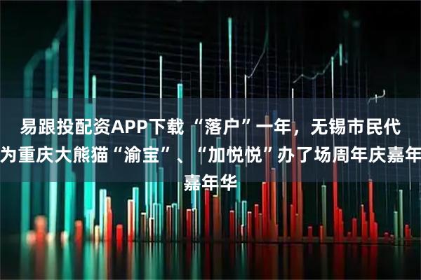 易跟投配资APP下载 “落户”一年，无锡市民代表为重庆大熊猫“渝宝”、“加悦悦”办了场周年庆嘉年华