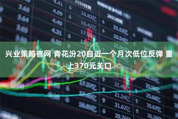 兴业策略官网 青花汾20自近一个月次低位反弹 重上370元关口